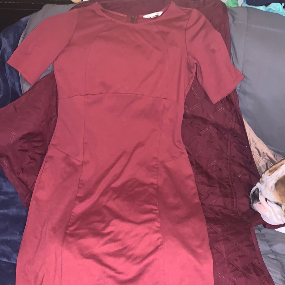 DownEast Wine Red Short Sleeve Sheath Dress